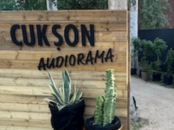 Sign reading "Cuk Son Audiorama" on wood paneling with two cacti in pots in front.