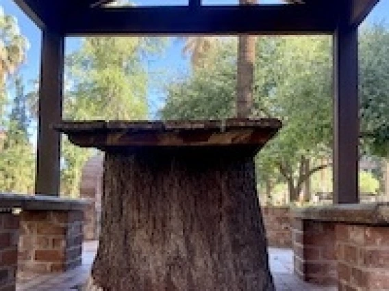 Two brick benches with a tables made of a large tree stump sit under a ramada.